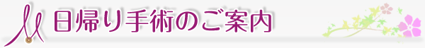 日帰り手術のご案内