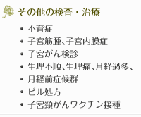 その他の検査・治療…不育症、子宮がん検診、更年期障害、生理不順、生理痛、月経過多、月経前症候群、膣炎、性行為感染症、ブライダルチェック、ピル処方、妊婦健診（初期、中期）