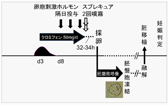 卵胞刺激ホルモン スプレキュア 隔日投与 2回噴霧
