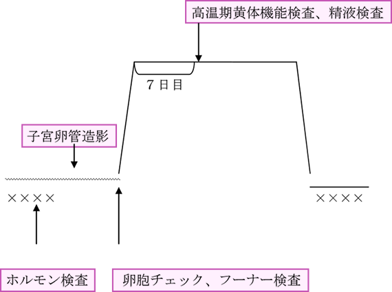 各種検査の流れ