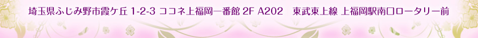 埼玉県ふじみ野市霞ケ丘1-2-3 ココネ上福岡一番館2F A202　東武東上線 上福岡駅南口ロータリー前