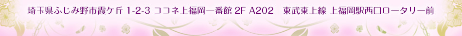 埼玉県ふじみ野市霞ケ丘1-2-3 ココネ上福岡一番館2F A202　東武東上線 上福岡駅西口ロータリー前