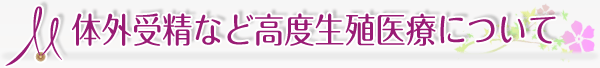 体外受精など高度生殖医療について